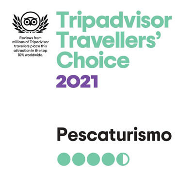 Angeltouren Spanien Preis Travellers' Choice von Tripadvisor